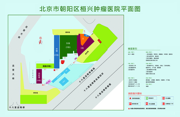 在线妹妹被我射入视频AV北京市朝阳区桓兴肿瘤医院平面图